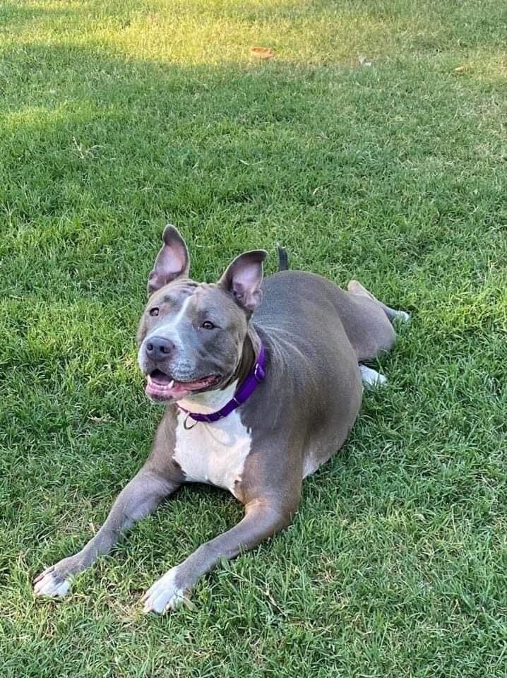 Sara